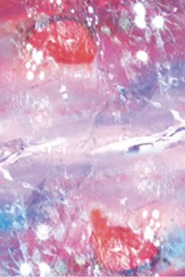 Maya Rochat, A Rock is a River (Atomic Pink), 2017